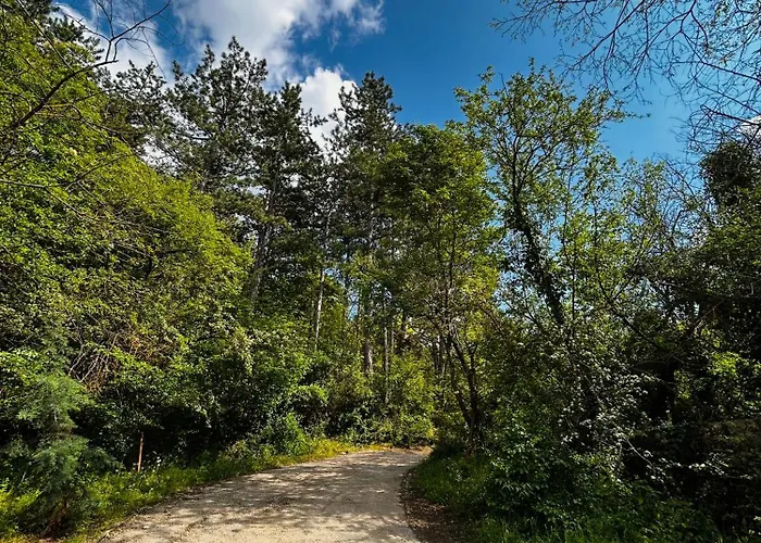 Ferienhaus Luxury Leon